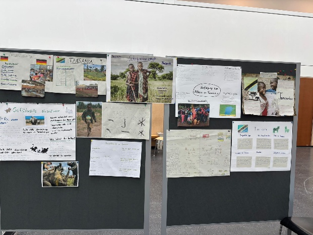 Photo of the students&rsquo; project posters